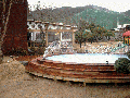 iris pool 93.gif